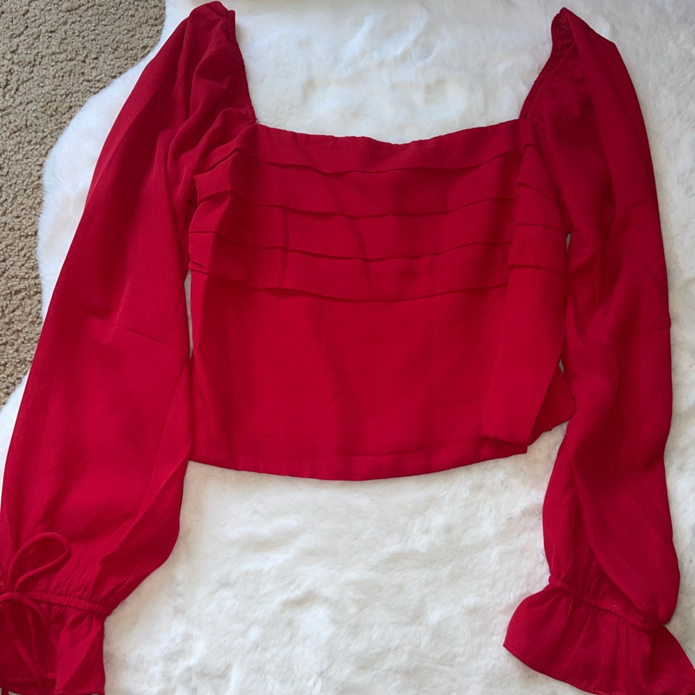 Francesca’s long sleeve crop top